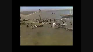 کشتار در محمیه