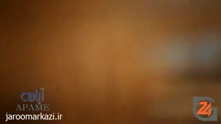 عملکرد جاروهای برقی  مرکزی آپامه