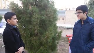 (FESTIVALS     (L3 P3