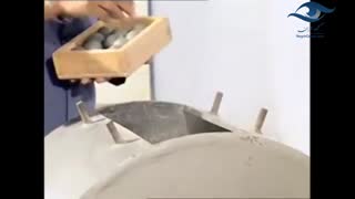 آزمایش لس آنجلس