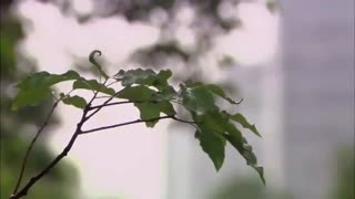 سریال متاسفم دوست دارم قسمت3پارت10