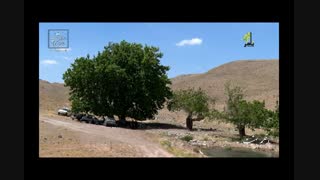 بخش سلفچگان