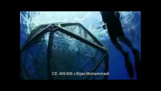 Fish cage culture in Hawaii