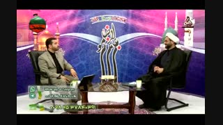 آیا نگهداری گربه در خانه اشکال دارد؟ استادوحیدپور