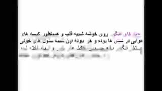 واقعا شگفت انگیزه