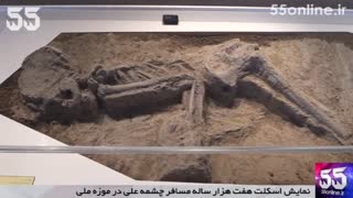 نمایش اسکلت هفت هزار ساله مسافر چشمه علی در موزه ملی