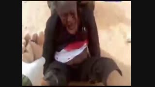 پیام آقا جواد نقوی به شیعیان نیجریه