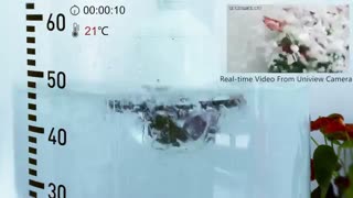 دوربین های اسپید دام ضد آب UNIVIEW