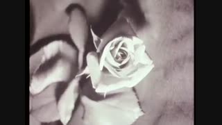 Francoise Hardy - Mon Amie La Rose