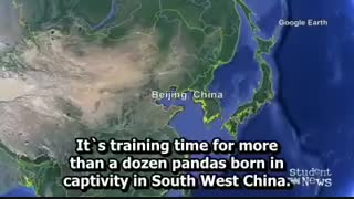 اخبار انگلیسی با زیرنویس انگلیسی  November 13, 2013