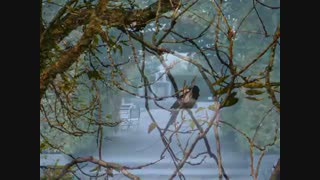 Barbara - Quels Joli Temps