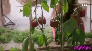 میکس فوق العاده زیبای سریال من و هاید وجکیل