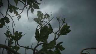 فیلم کوتاه Dark Clouds