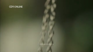 سریال شرافت - قسمت 9