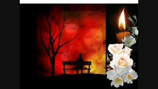 شبست و چشم من و شمع اشکبارانند