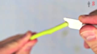 رز رنگین کمانی