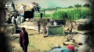 حبیب تیموری-ویدیوی ارسالی-حرف دل مردم-انجمن تخصصی آرا