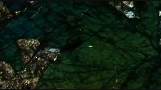 استون هنج (2008)