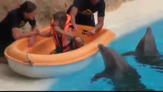 دلفین اکواریوم