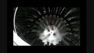 دستگاه پرکن بلدرچین