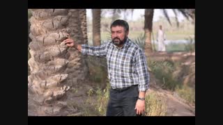 هوادارای کیوان بیایید یه خبر ...........