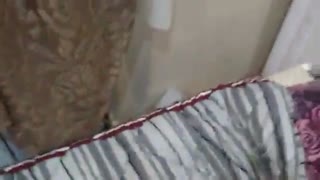 ..::داب اسمش::..