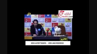 مرغ جالب|تخم نطفه دارتضمینی