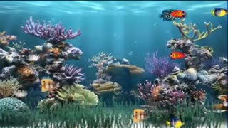 ;با این قطعه  زیبا از امین صفاری ادینه خوبی را برایتان ارزو میکنیم .