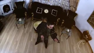 ویولن بهرام ابراهیمی