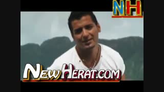 ولی دختر افغان