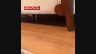 تا آخرشو ببین