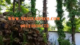 کاشت فضای سبز حیاط همراه با آبنمای صخره ای