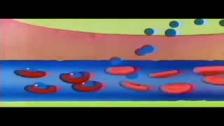 گردش خون
