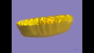 شیب غلظت
