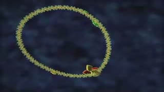 چرخه HIV