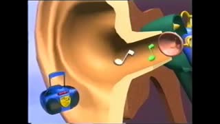 گوش
