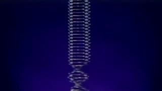 ساختار DNA