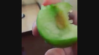 آلووووووچه