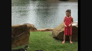 مثلا اردکاشون