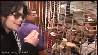 مایکل در فروشگاه