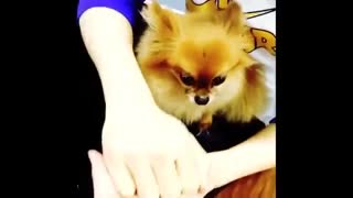 Eunhyuk_اونهیوک و چوکوی خدابیامرز