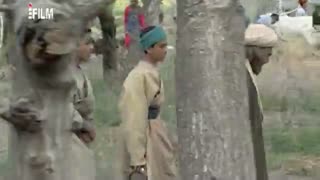 روش جالب ملاصدرا برای حل مسئله جبر یا اختیار!