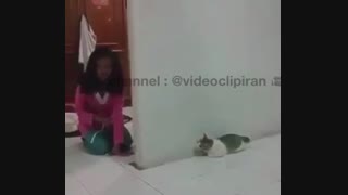 ترساندن گربه