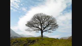 آهنگ من به تو حق میدم علی لهراسبی