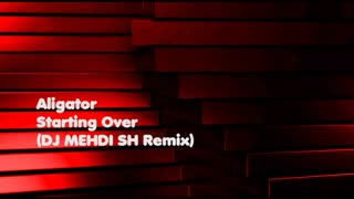 (Aligator - Starting Over (DJ MEHDI SH Remix) (Audio