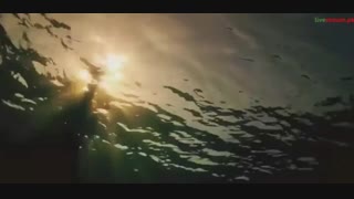 یونا(عکس برداری)2015