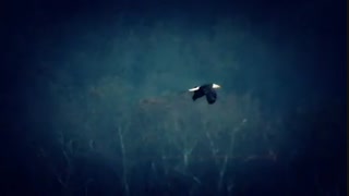 این آهنگ فوق العاده تقدیم به همه عشـــــــــاق عزیز.(پیشاپیش ولنتاین مبارک )حتماگوش کنید