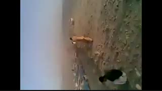 گازویل کشی دربلوچستان