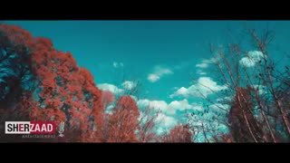 ویدیوی جدید آریا نا سعید--کَمَک کَمَک              انجمن تخصصی آرا