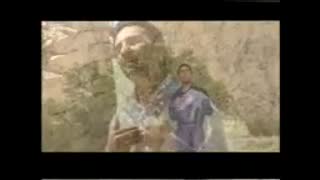 حمید احمدی----قشقایی